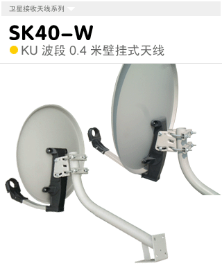 SK40-W  KU0.4ױڹʽ